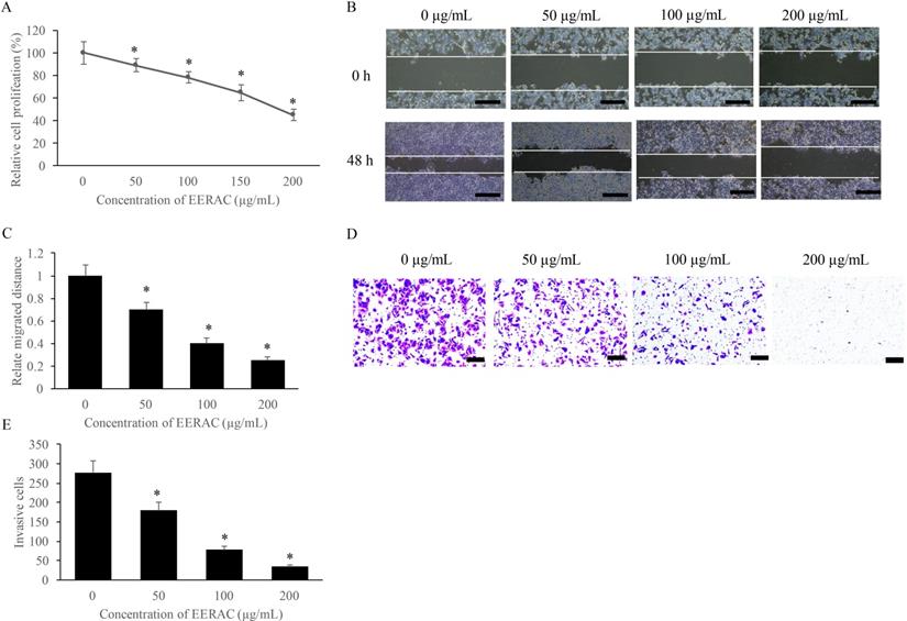 J Cancer Image