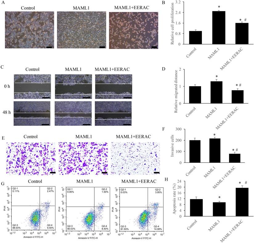 J Cancer Image