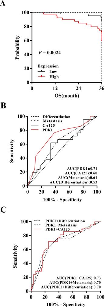 J Cancer Image