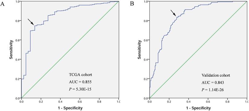 J Cancer Image