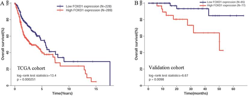 J Cancer Image