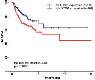 J Cancer Image