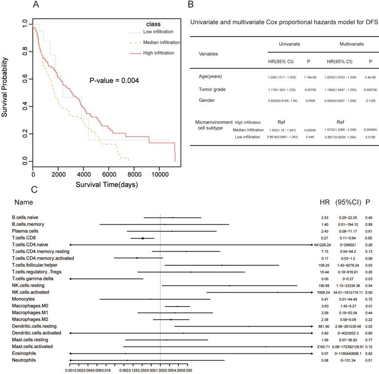 J Cancer Image