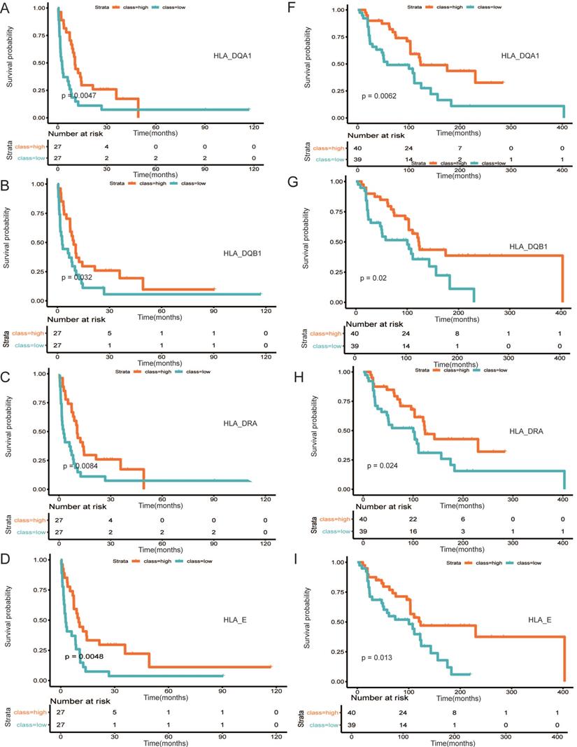 J Cancer Image