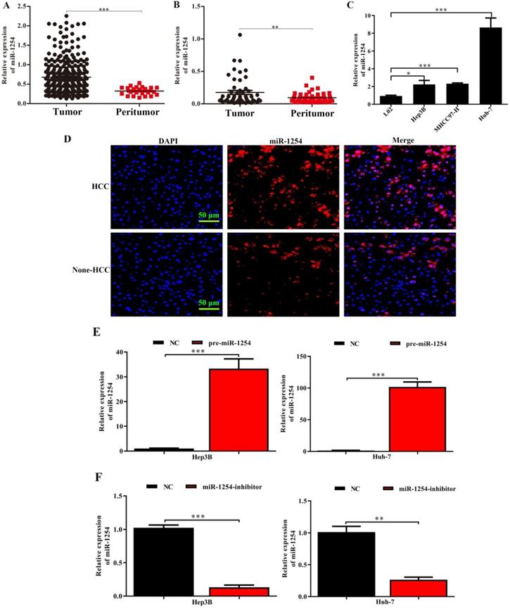 J Cancer Image