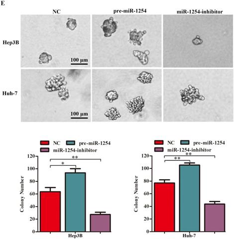 J Cancer Image