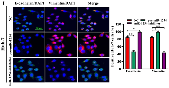 J Cancer Image