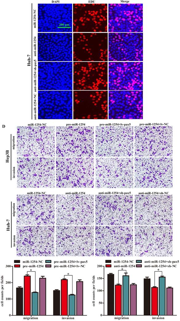 J Cancer Image