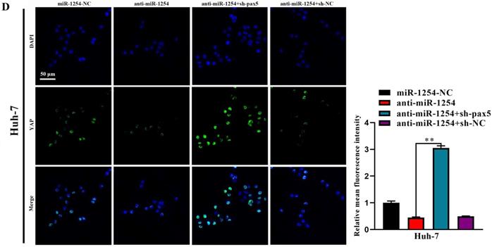 J Cancer Image