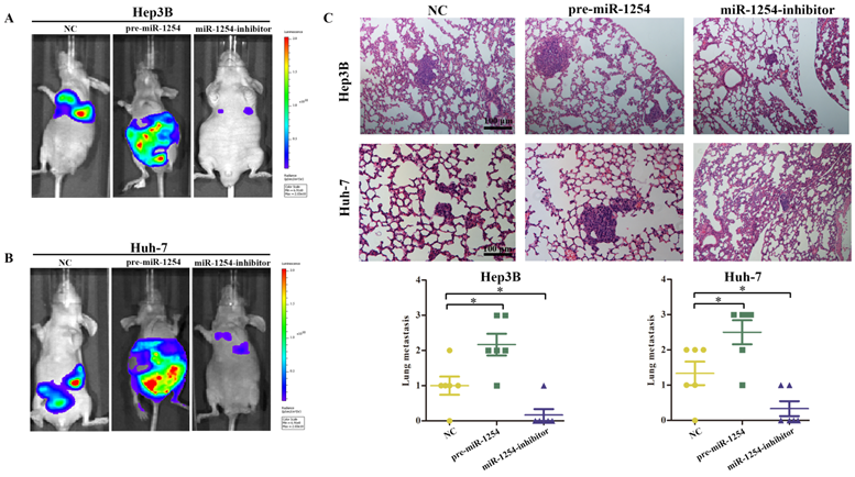 J Cancer Image