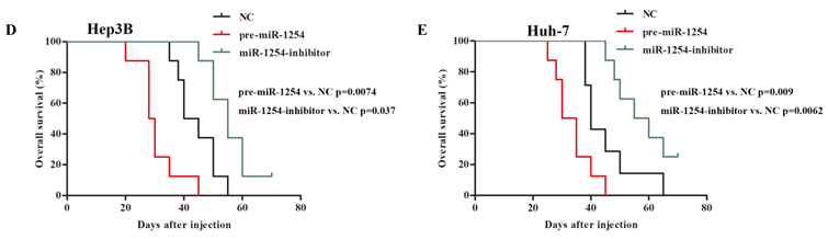 J Cancer Image