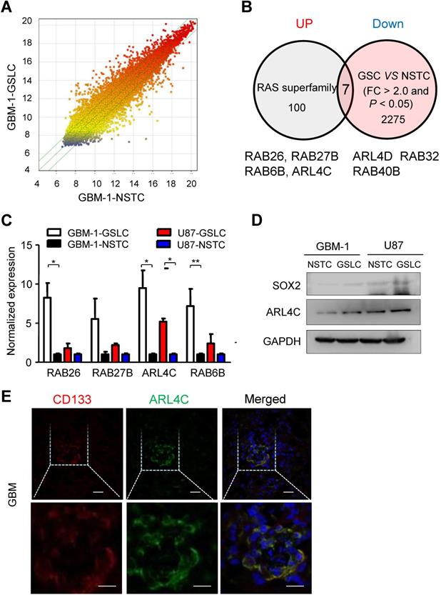 J Cancer Image