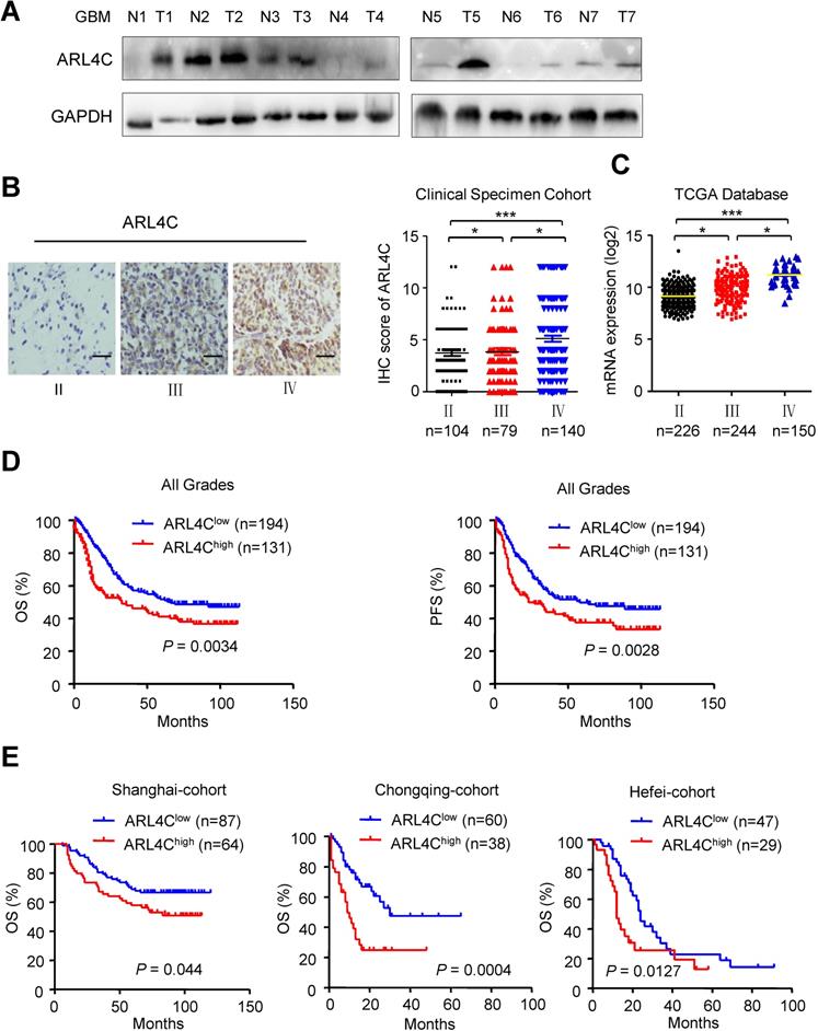 J Cancer Image