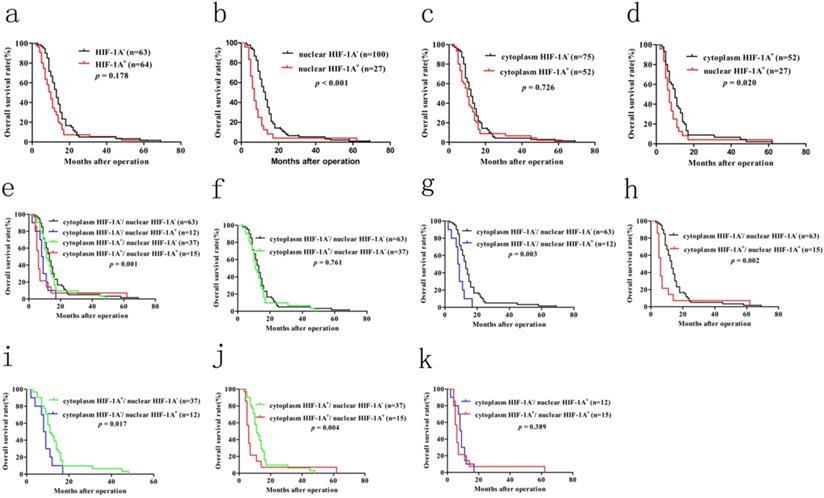 J Cancer Image