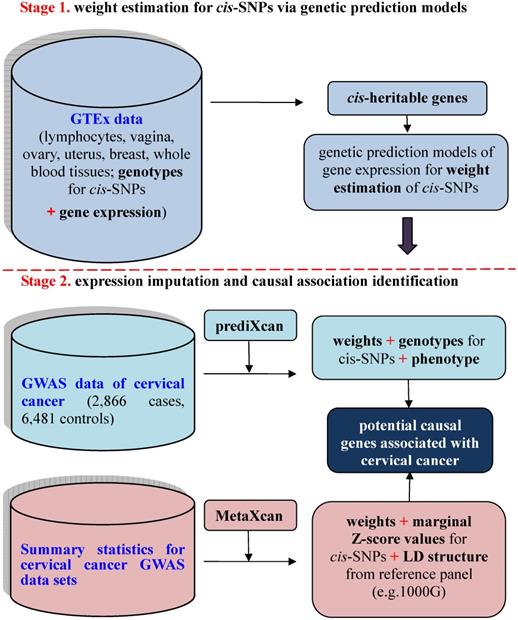 J Cancer Image