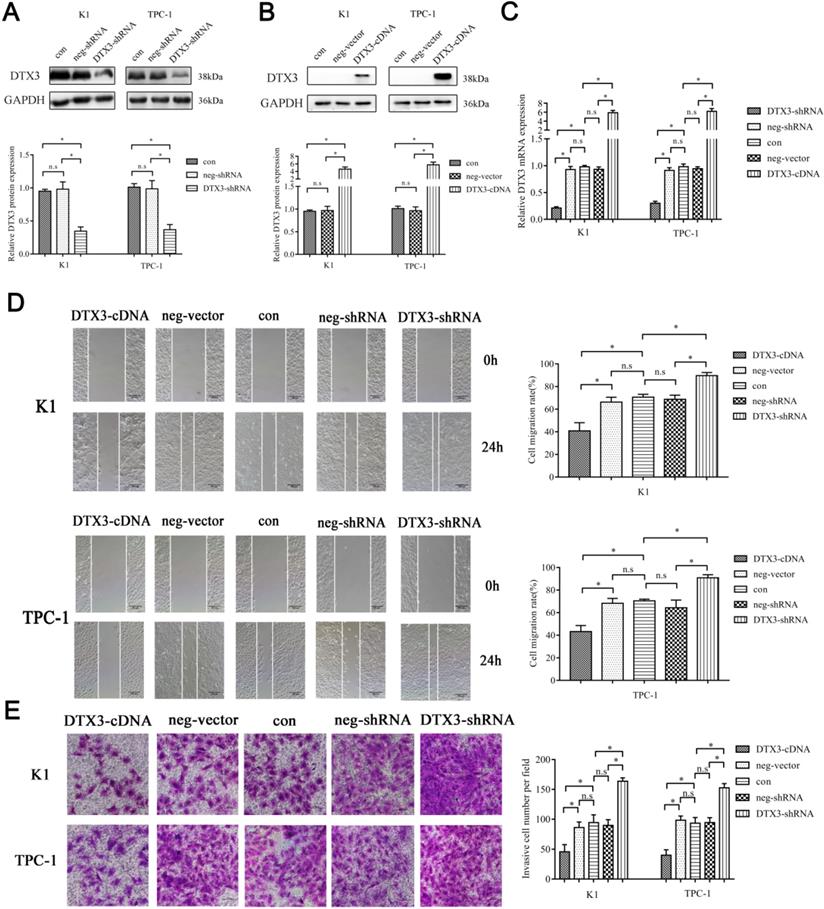 J Cancer Image