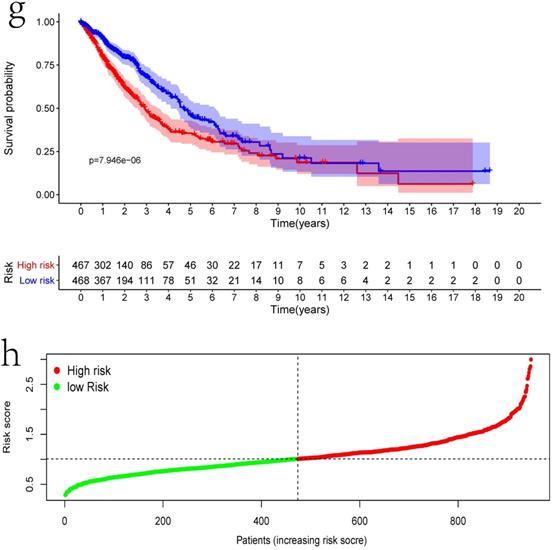 J Cancer Image