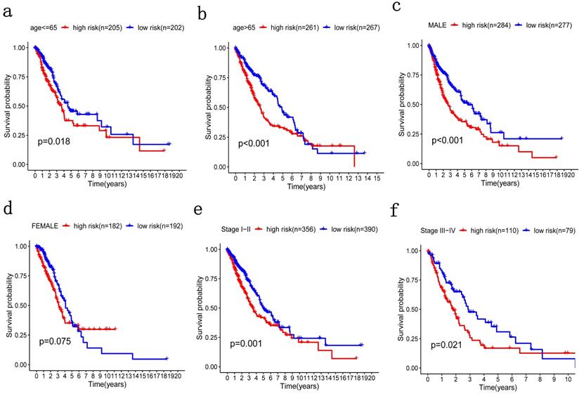 J Cancer Image