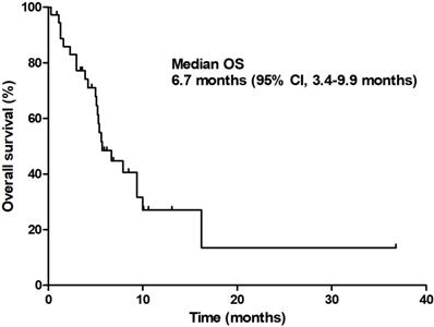 J Cancer Image