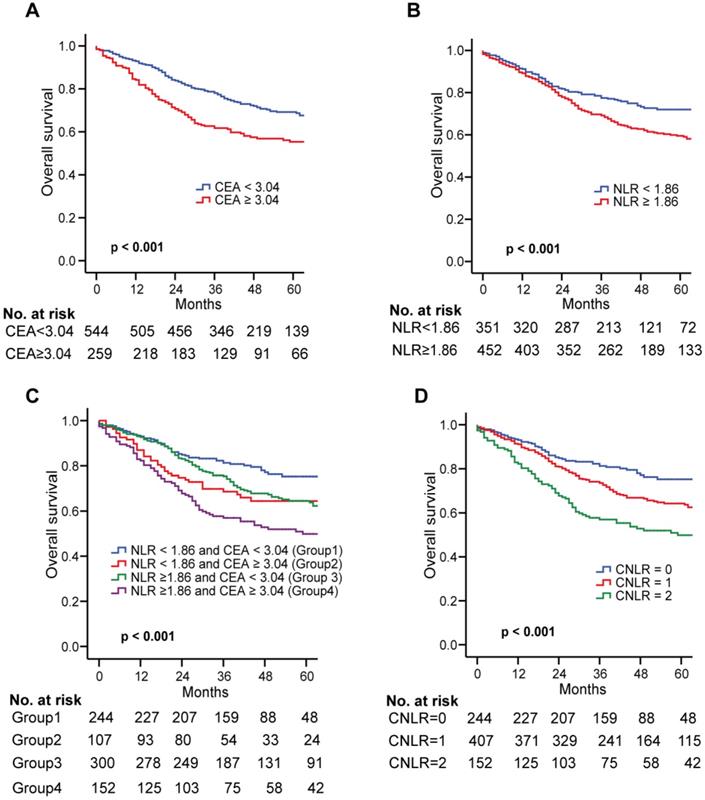 J Cancer Image