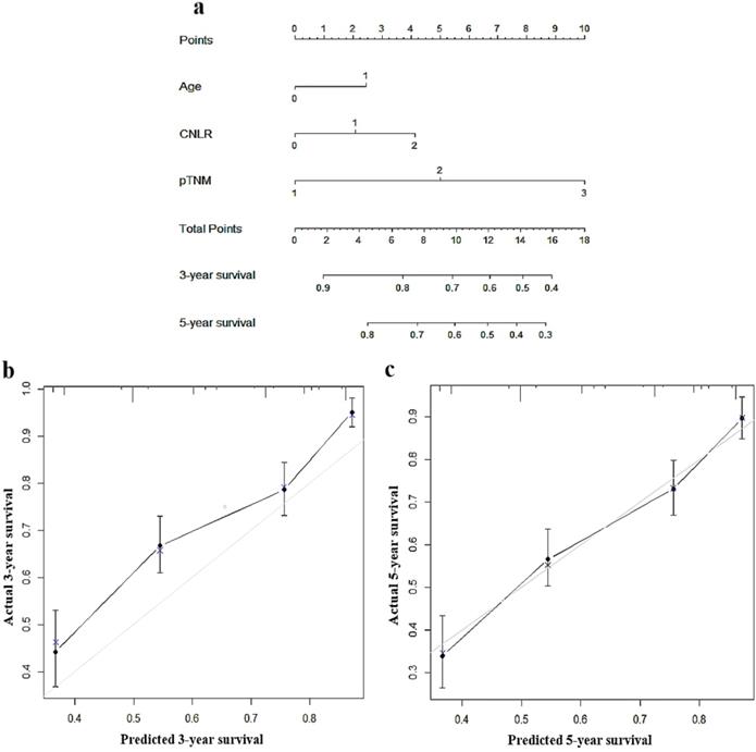 J Cancer Image