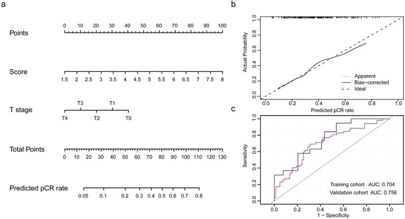 J Cancer Image