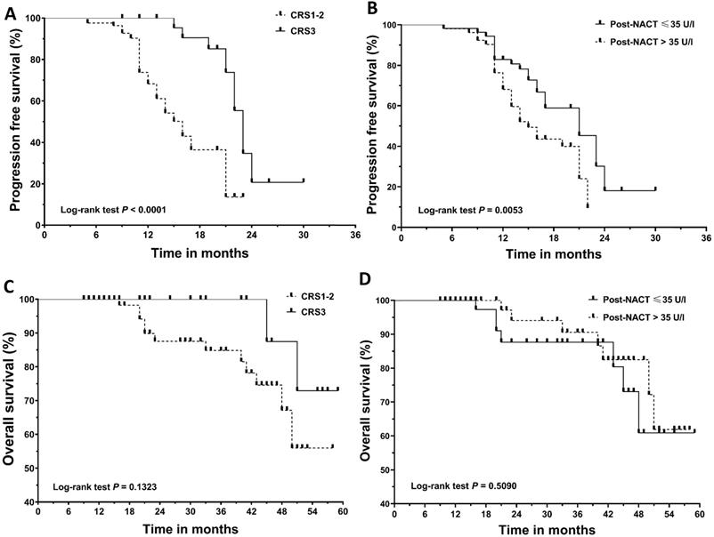 J Cancer Image