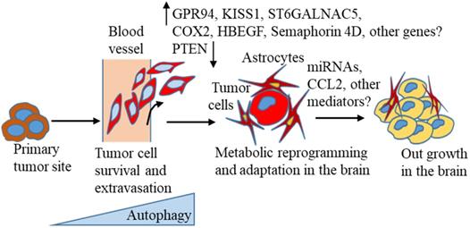 J Cancer Image