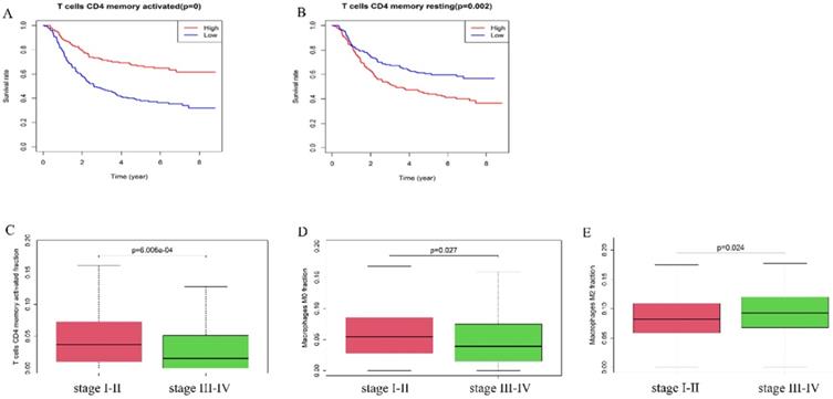 J Cancer Image