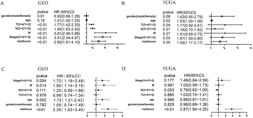 J Cancer Image