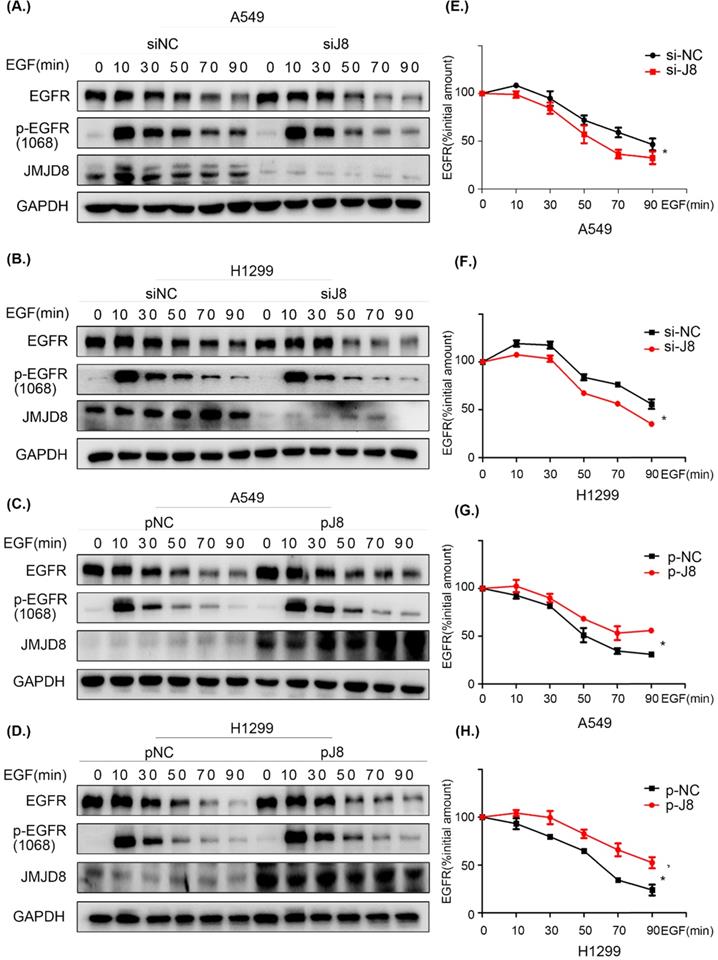 J Cancer Image