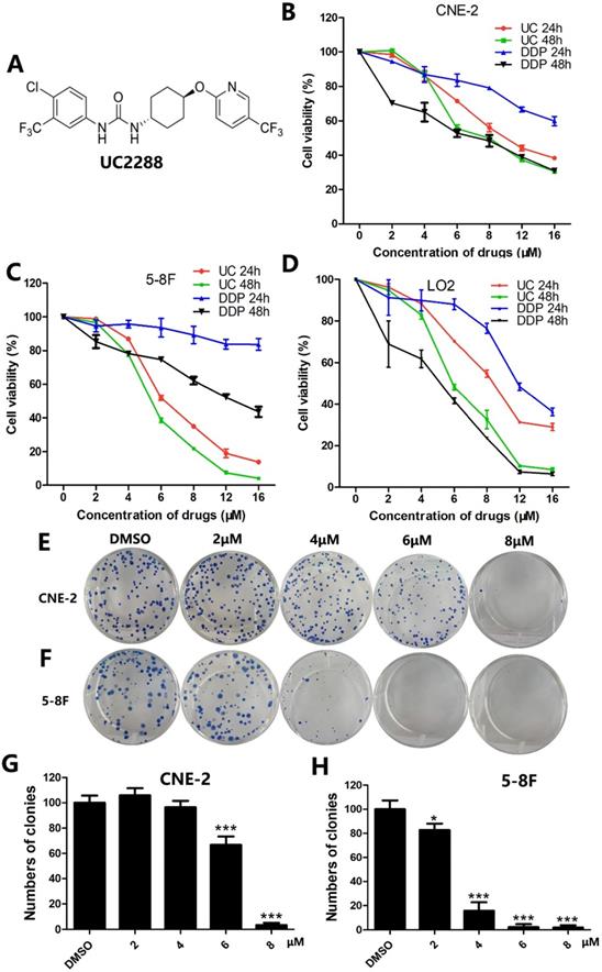 J Cancer Image