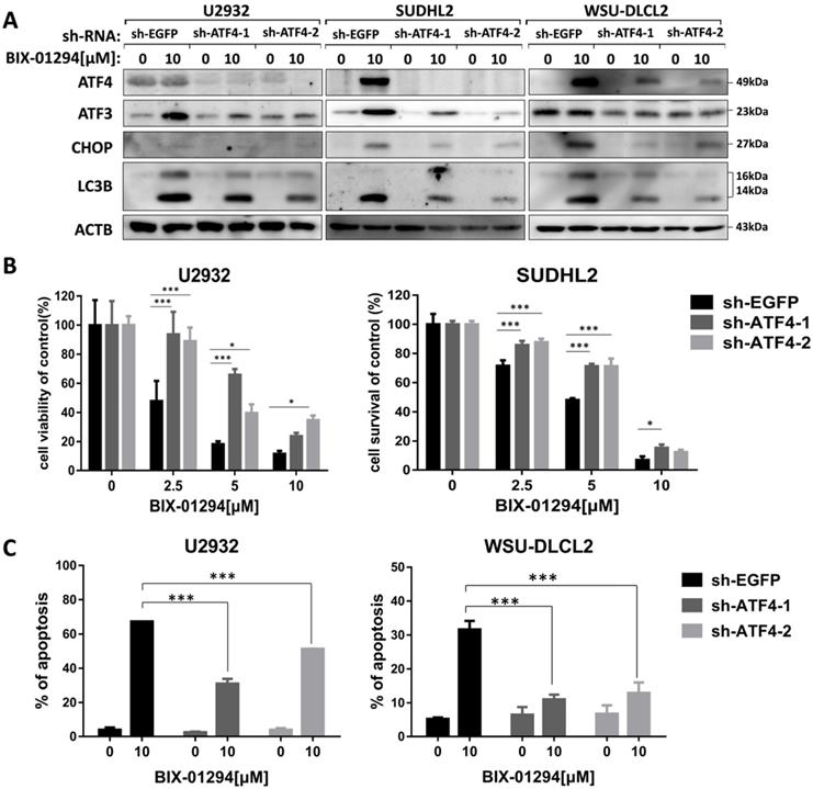 J Cancer Image