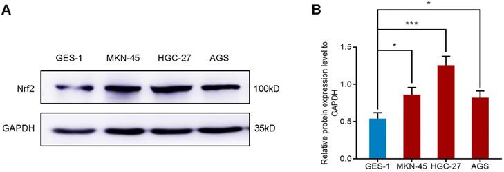 J Cancer Image