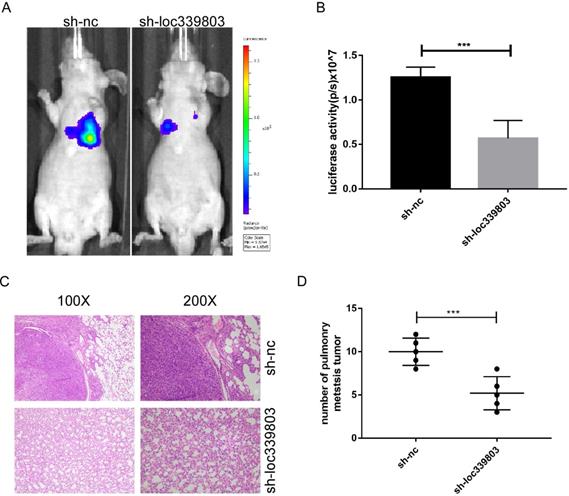 J Cancer Image