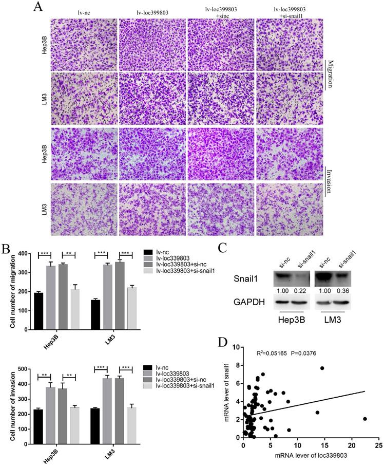 J Cancer Image