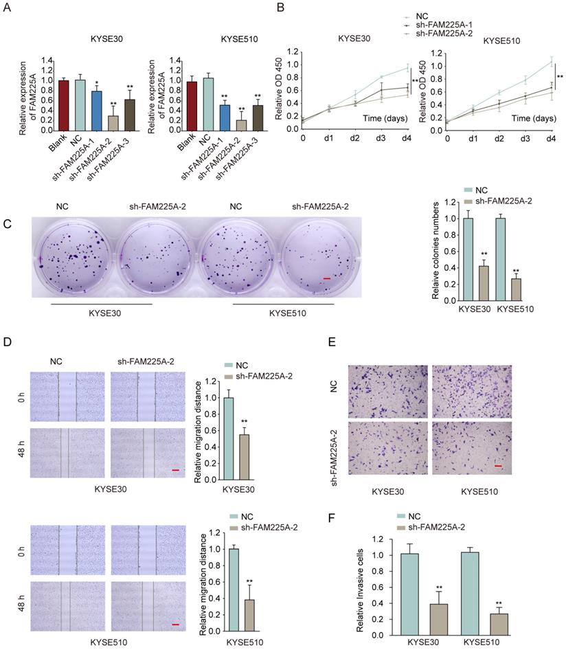 J Cancer Image