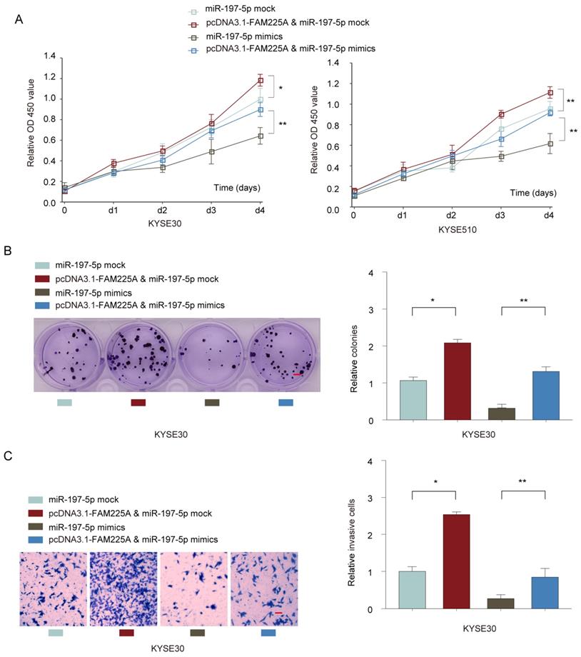 J Cancer Image