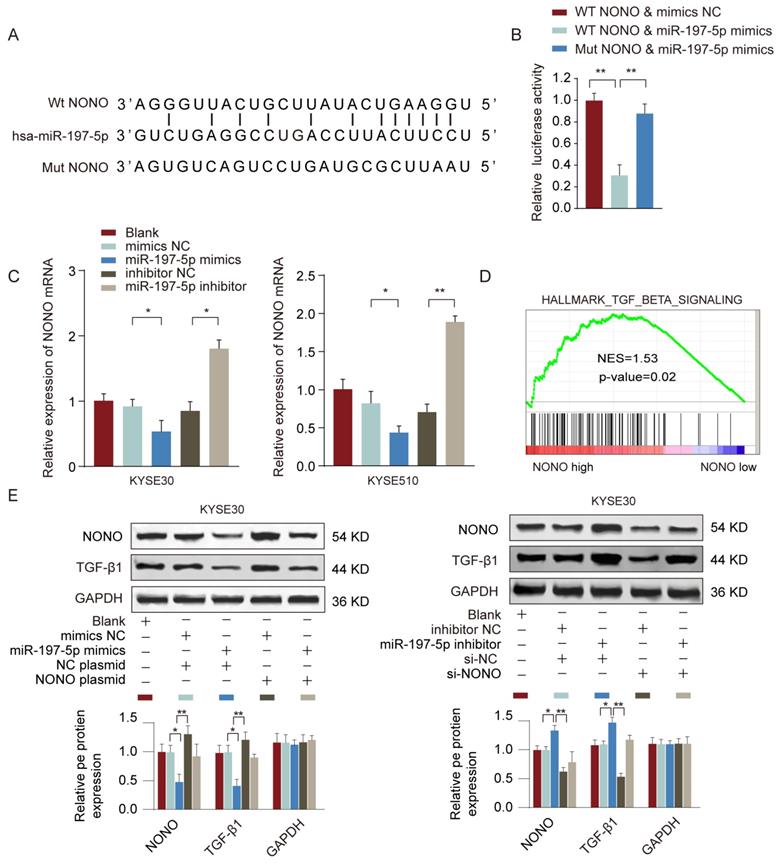 J Cancer Image