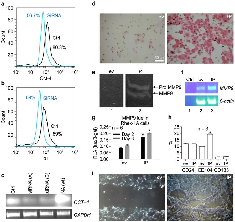 J Cancer Image