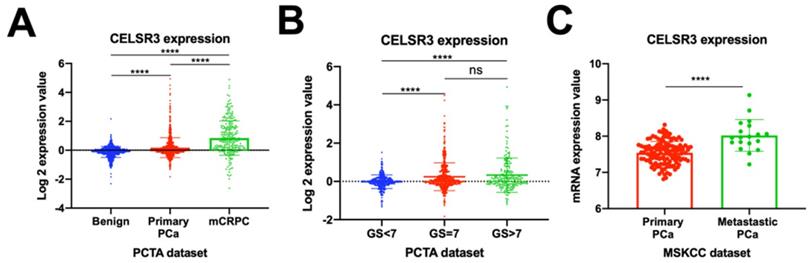 J Cancer Image