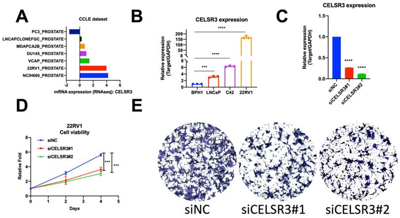 J Cancer Image