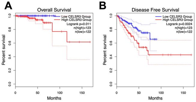 J Cancer Image