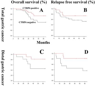 J Cancer Image