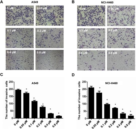 J Cancer Image