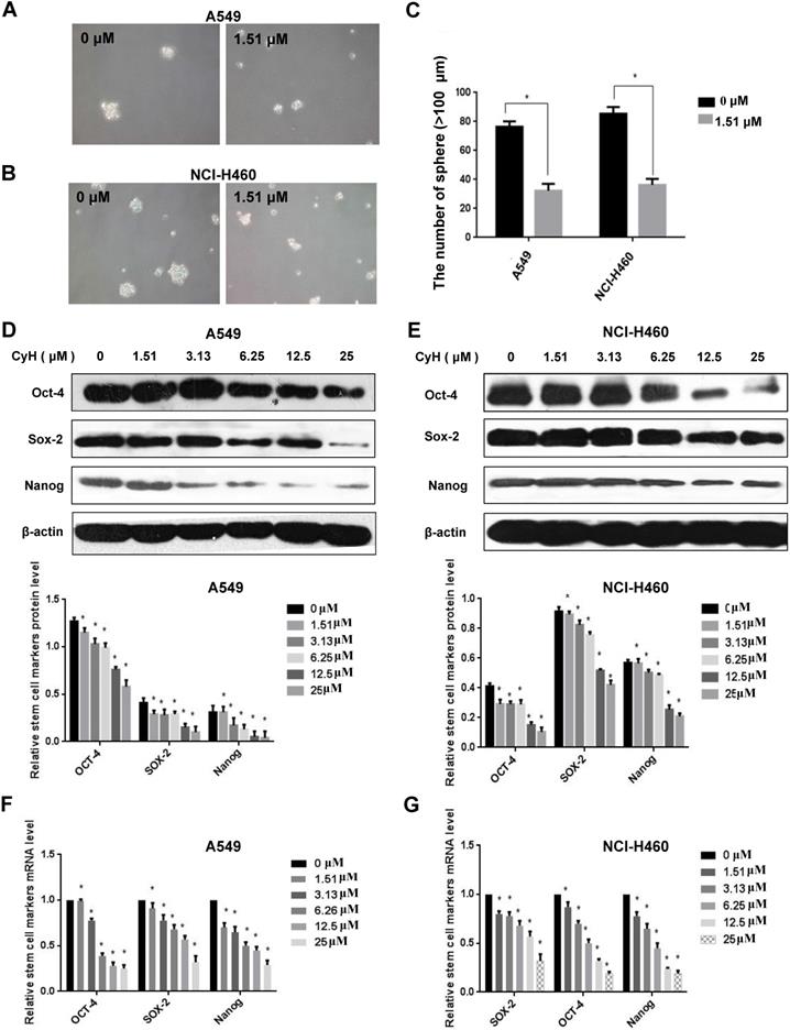 J Cancer Image