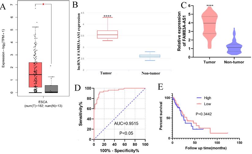 J Cancer Image