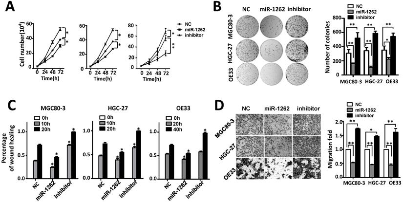 J Cancer Image