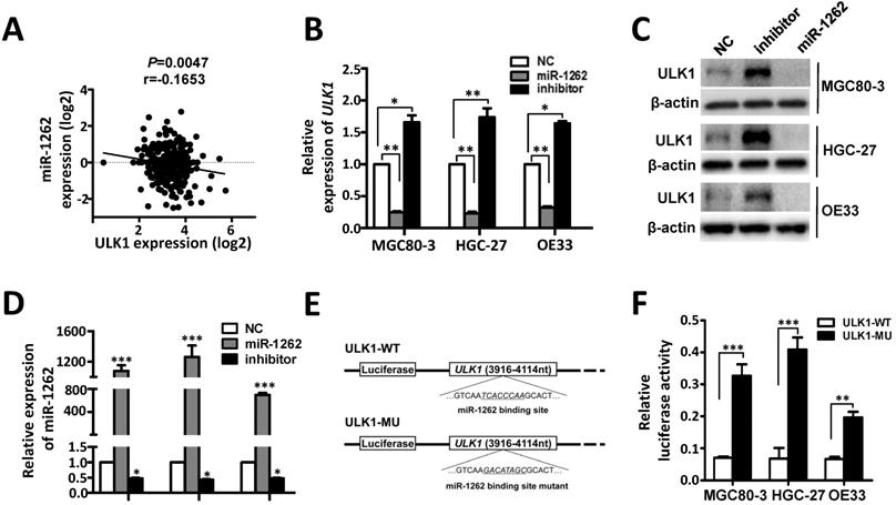 J Cancer Image