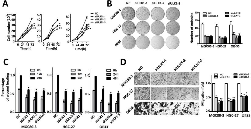 J Cancer Image